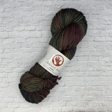 Load image into Gallery viewer, Ancient Arts Superwash Fine Merino Wool DK