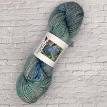 Load image into Gallery viewer, Songbird Yarn & Fibres DK