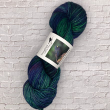 Load image into Gallery viewer, Songbird Yarn & Fibres DK
