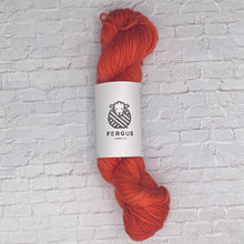 Load image into Gallery viewer, Fergus Yarn 50g Skeins