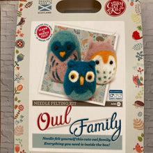 Load image into Gallery viewer, Needle Felting Kit