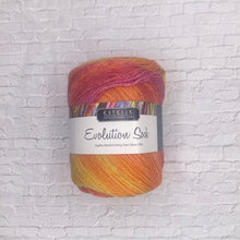 Load image into Gallery viewer, Estelle Evolution Sock