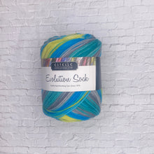 Load image into Gallery viewer, Estelle Evolution Sock