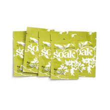 Load image into Gallery viewer, Soak Wash Sample Size