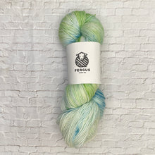 Load image into Gallery viewer, Green and blue skein of yarn with a Fergus label on a white brick background
