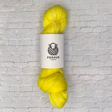 Load image into Gallery viewer, Fergus Yarn 50g Skeins

