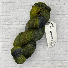 Load image into Gallery viewer, Malabrigo Yarn
