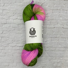 Load image into Gallery viewer, Fergus Yarn Fingering
