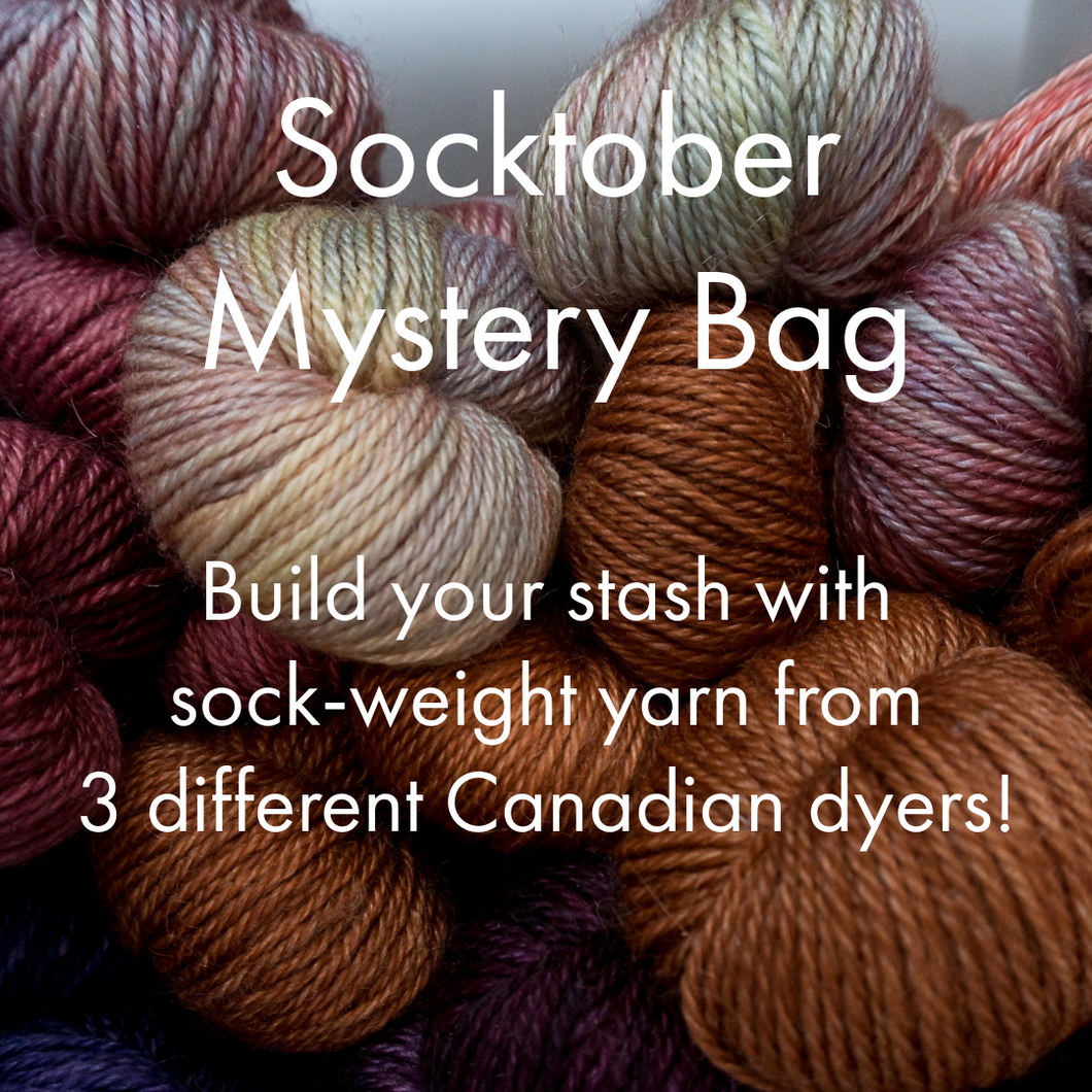 Socktober Mystery Bag 2025